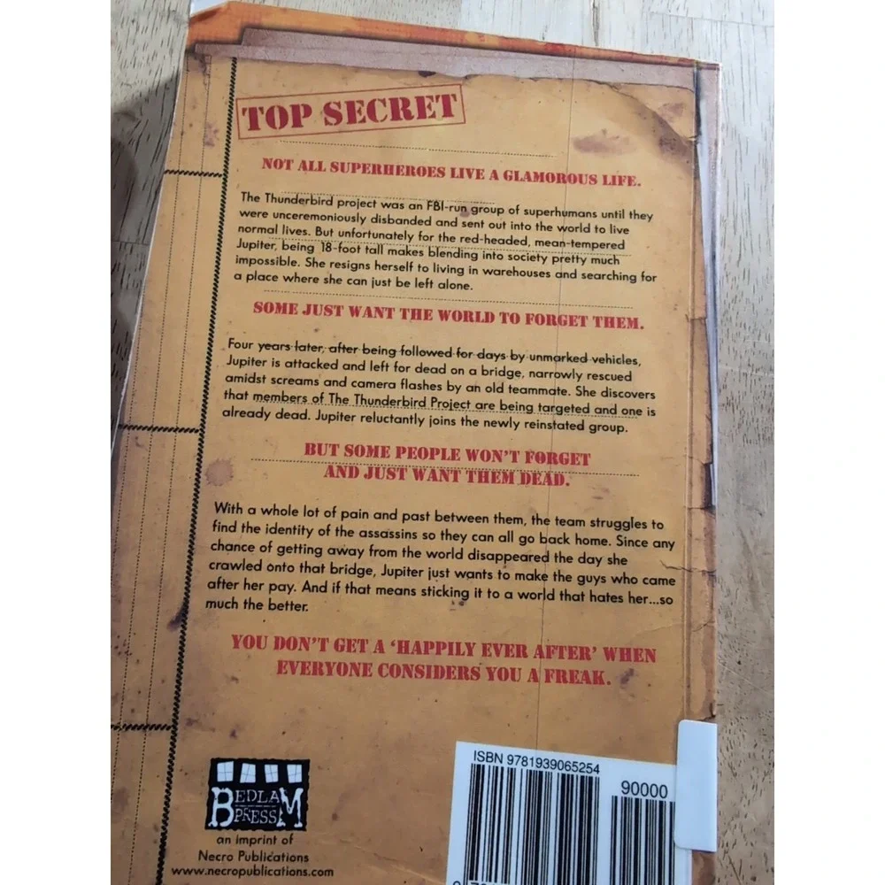 Thunderbird Project‎ by Rebecca Harwell (2013, Trade Paperback)